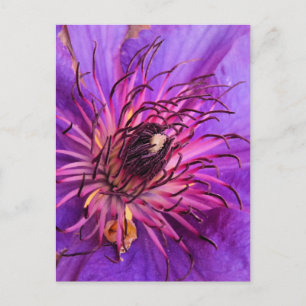 CLEMATIS BRIEFKAART