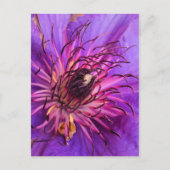 CLEMATIS BRIEFKAART (Voorkant)