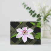 Clematis Briefkaart (Staand voorkant)