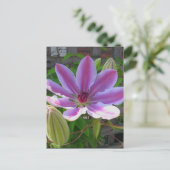 Clematis Briefkaart (Staand voorkant)