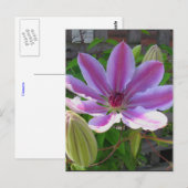 Clematis Briefkaart (Voorkant / Achterkant)