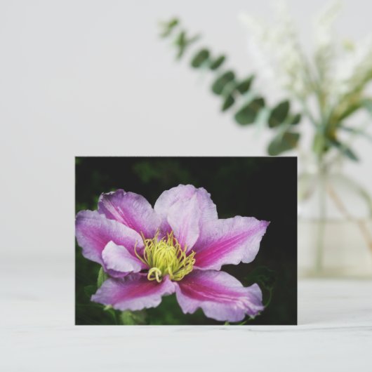 Clematis Briefkaart (Staand voorkant)