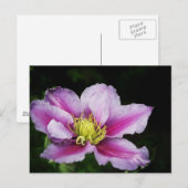 Clematis Briefkaart (Voorkant / Achterkant)