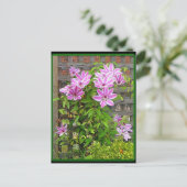 Clematis Cluster Briefkaart (Staand voorkant)