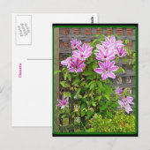 Clematis Cluster Briefkaart (Voorkant / Achterkant)