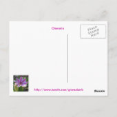 Clematis Cluster Briefkaart (Achterkant)