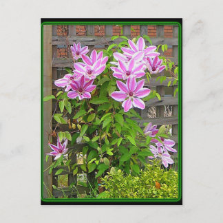 Clematis Cluster Briefkaart