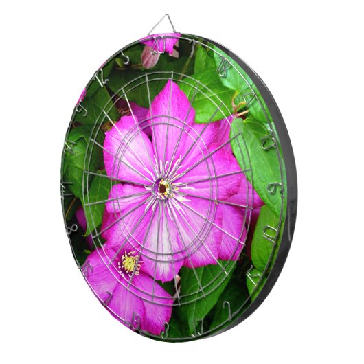 Clematis Dartbord (Voorkant Rechts)