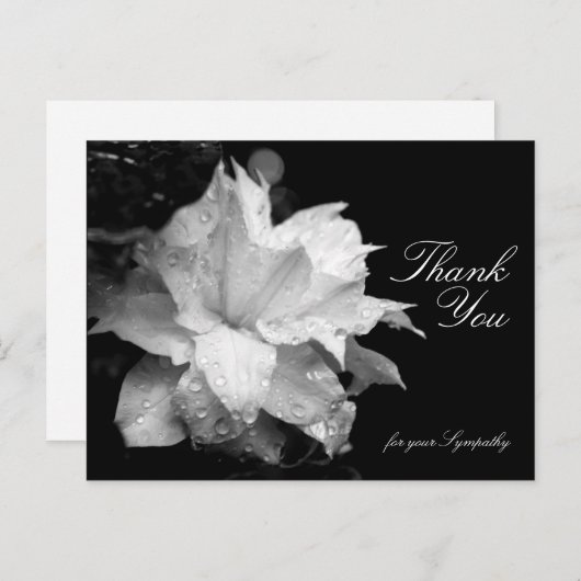 Clematis en dauwdruppels Sympathie Dank U P Briefkaart (Voorkant / Achterkant)