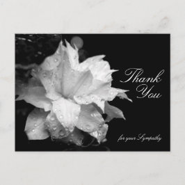 Clematis en dauwdruppels Sympathie Dank U P Briefkaart
