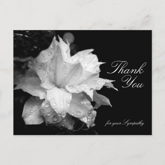 Clematis en dauwdruppels Sympathie Dank U P Briefkaart (Voorkant)