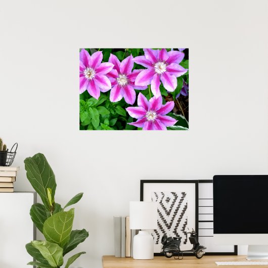Clematis en Oregano, roze bloemen, groen botanisch Poster (Thuiskantoor)