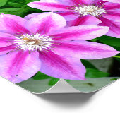 Clematis en Oregano, roze bloemen, groen botanisch Poster (Hoek)