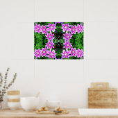 Clematis en Oregano, roze bloemen, groen botanisch Poster (Keuken)