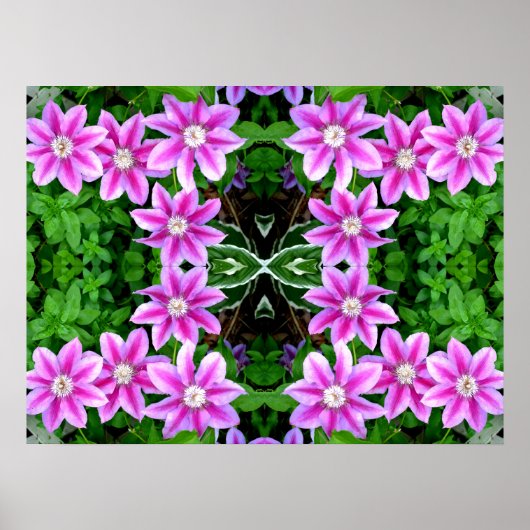Clematis en Oregano, roze bloemen, groen botanisch Poster (Voorkant)