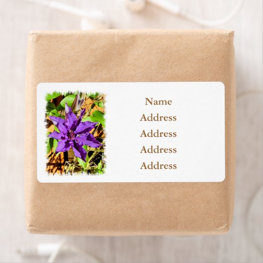 CLEMATIS ETIKET (Insitu)