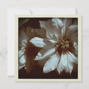 Clematis Floral Photography 2 Funeral Announement Kaart