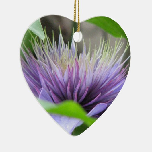 Clematis Flower Blossom Ornament (Rechts)