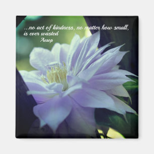 Clematis Flower Kindness Inspirerend Magneet