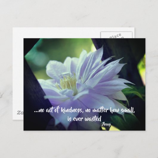Clematis Flower Kindness Inspirerend Quote Briefkaart (Voorkant / Achterkant)