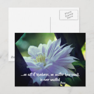 Clematis Flower Kindness Inspirerend Quote Briefkaart