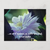 Clematis Flower Kindness Inspirerend Quote Briefkaart (Voorkant)