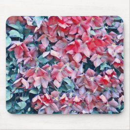 Clematis Flowers Muismat