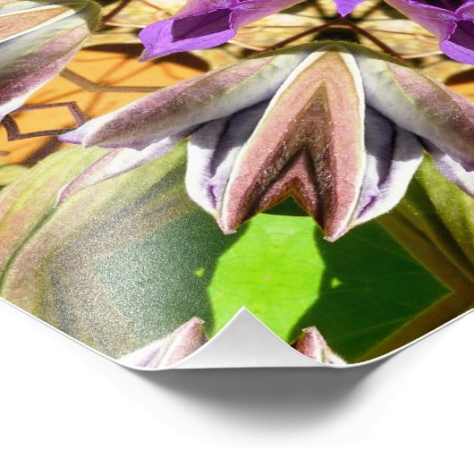 CLEMATIS FOTO AFDRUK (Hoek)