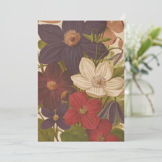 Clematis | George Nicholson (Staand voorkant)