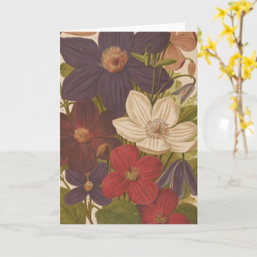 Clematis | George Nicholson Kaart (Gele Bloem)