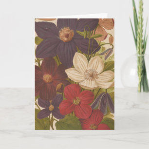 Clematis   George Nicholson Kaart