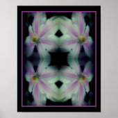 Clematis gloeit Abstract dicht Poster (Voorkant)
