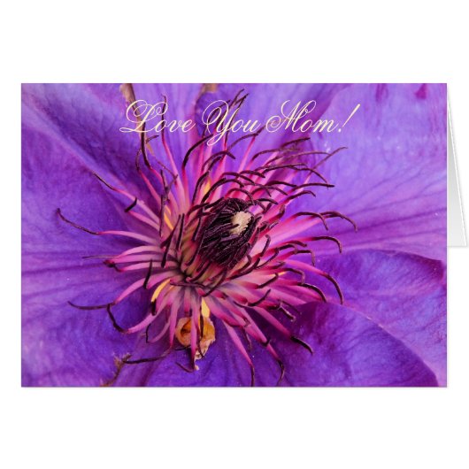 CLEMATIS GRETTINGS-KAART (Voorkant Horizontaal)