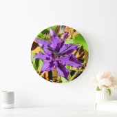 CLEMATIS GROTE KLOK (Huis)