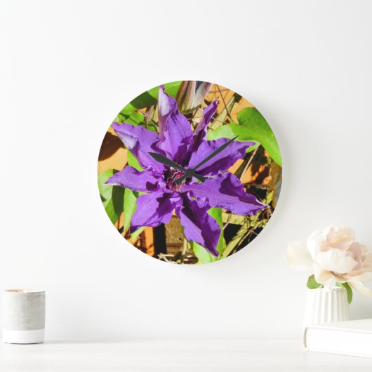 CLEMATIS GROTE KLOK (Huis)