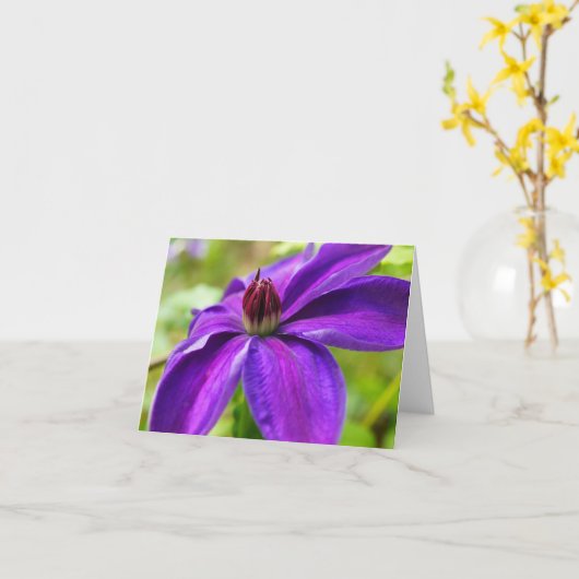 Clematis Hallo! Kaart (Gele Bloem)