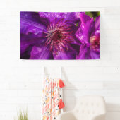 Clematis Het President Spandoek (Insitu)