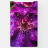 Clematis Het President Spandoek (Verticaal)