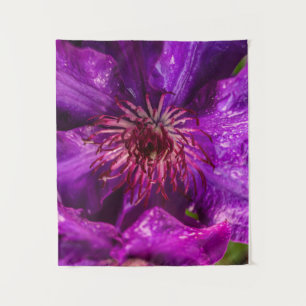 Clematis Het President Wandkleed