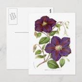 Clematis jackmani briefkaart (Voorkant / Achterkant)