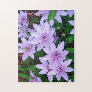 *Clematis* Jigzaag Puzzle Legpuzzel