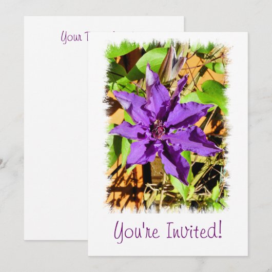 CLEMATIS KAART (Voorkant / Achterkant)