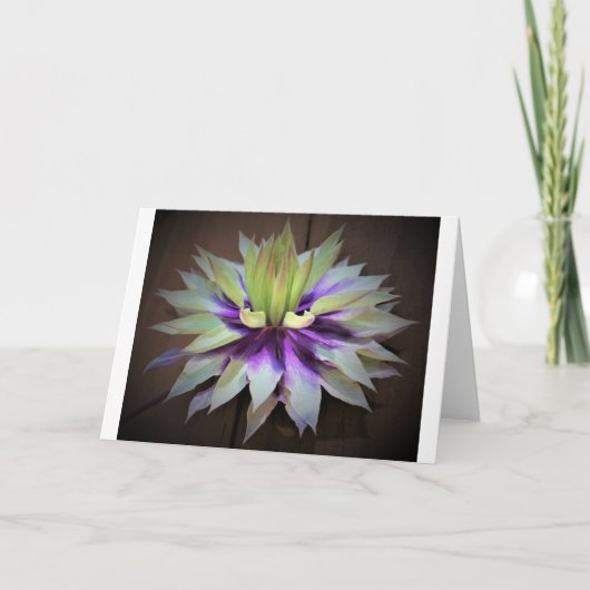 Clematis, kaart (Voorkant)