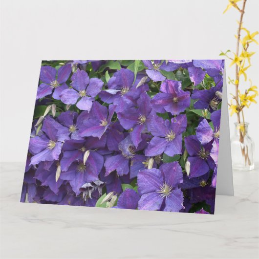 Clematis Kaart (Gele Bloem)