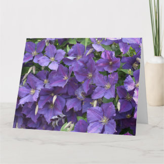 Clematis Kaart