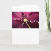 Clematis, Kaart (Voorkant)