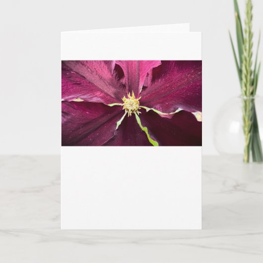 Clematis, Kaart (Voorkant)