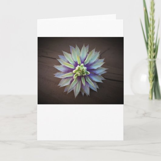 Clematis, kaart (Voorkant)