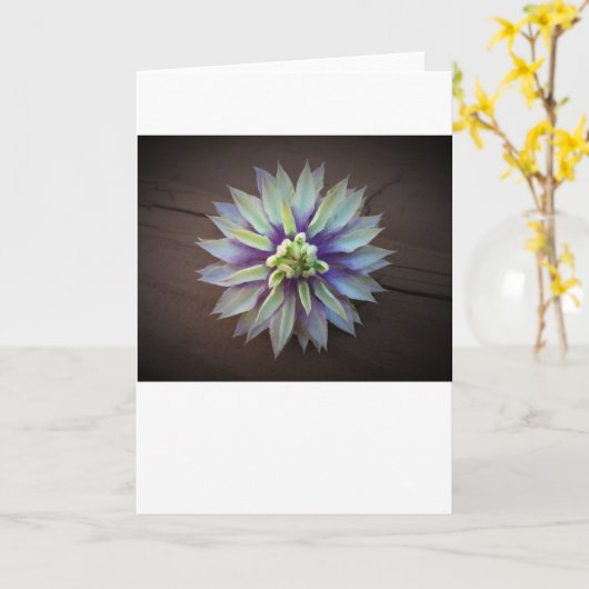 Clematis, kaart (Gele Bloem)
