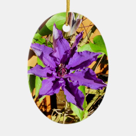 CLEMATIS KERAMISCH ORNAMENT (Voorkant)